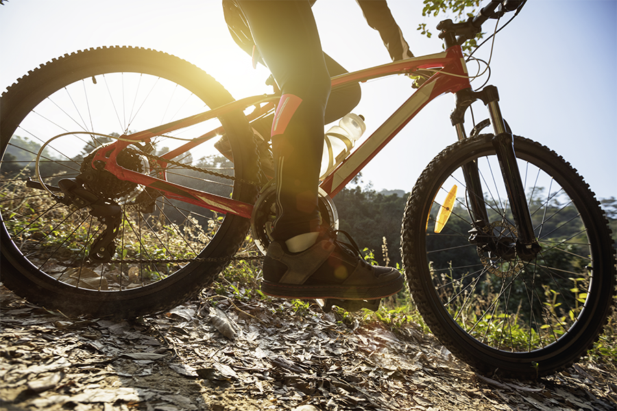 Mountain bike in motion on rough terrain